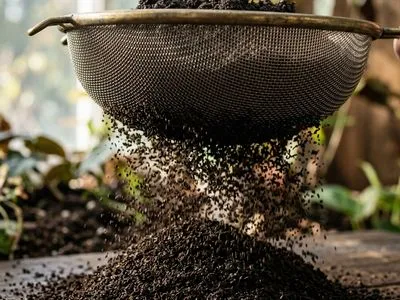 Rich vermicompost falling through a fine sifting mesh